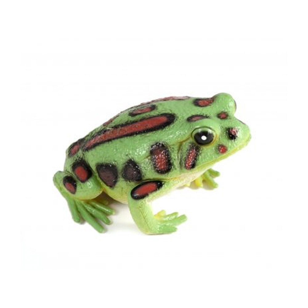 Northern Leopard Frog Spotted Green Toy Realistic Rainforest Model