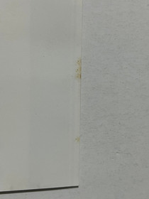 ASO II Last Guardian SNK Neo Geo CD Japan (Alpha Mission II)