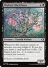 MtG Blighted Blackthorn C 0090 Lorwyn Eclipsed Common Foil