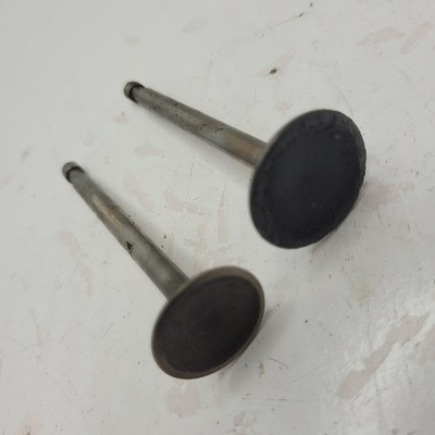 #ad Craftsman 917.378922 Mower Briggs Stratton 125K02 0303 E1 Intake Exhaust Valves $9.99