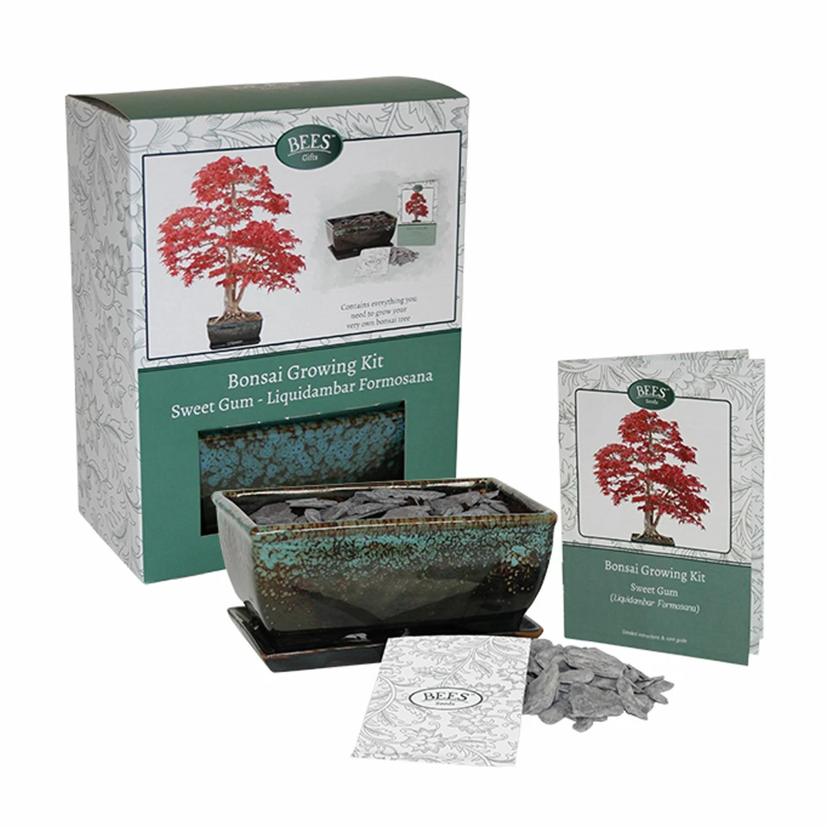 Bonsai Growing Starter Kit Liquid Amber with Pot Seed Soil Slate By Bees  Gifts