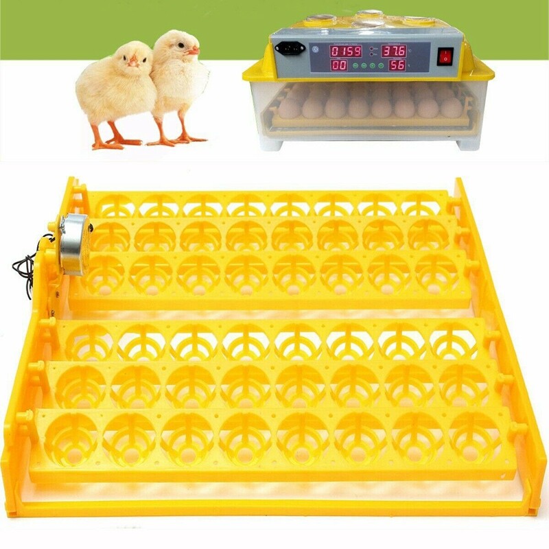 110V Automatic Egg Turner 56 Eggs Incubators Tray Quail Chicken Goose C9X1X1 eBay