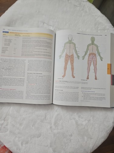 Human Anatomy and Physiology by Elaine N. Marieb And Katja Hoehn 8th Edition - Bild 12 von 15