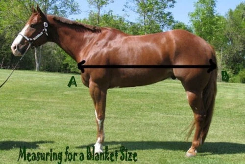 Winter Horse Snuggit Turnout 毛毯 - 600D - 250 克 - 69 英寸 - 84 英寸 - 粉红色 — 第 2/2 张图片