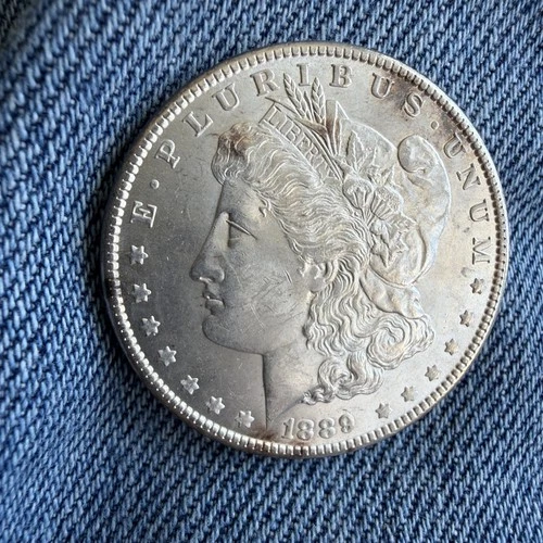 1889 MORGAN SILVER DOLLAR STUNNING Details MS UNC