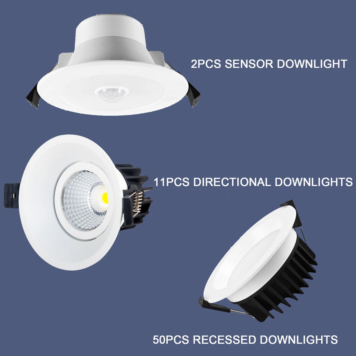 Directional downlight online