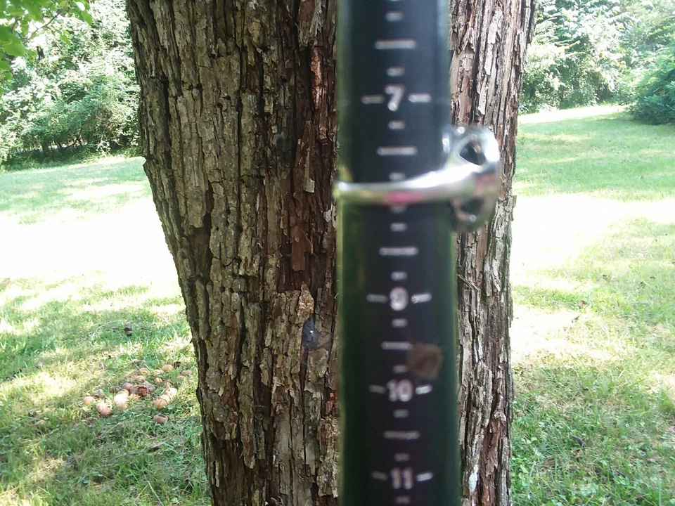 Anillo Victoria Townsend DBJ Macy's de plata esterlina negro blanco circonita cúbica corazón de amor talla 8 Foto 2 de 4