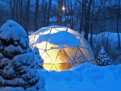Geodesic Dome 20 ft._3V Frame for Greenhouse