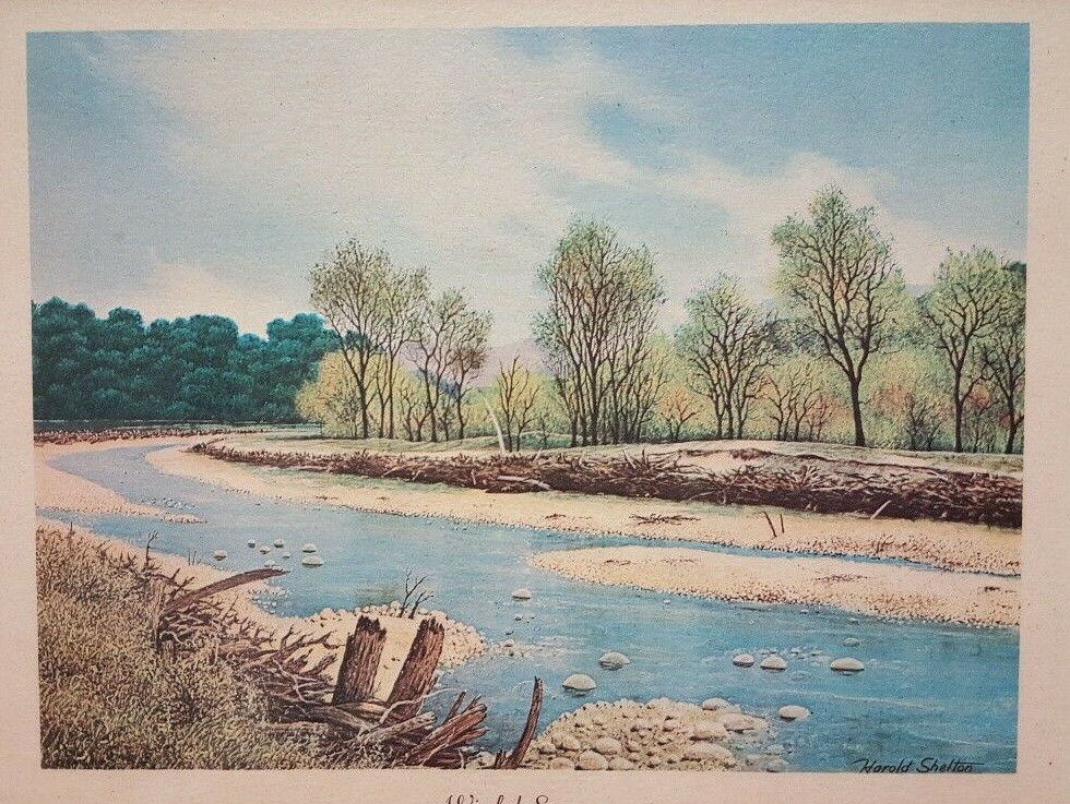 Picture 5 of 10