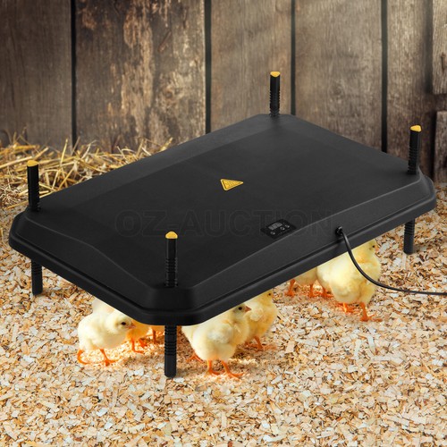 Chick Brooder Heating Plate Warmer Chicken Coop Brooding Heater Poultry Duckling - Picture 39 of 61