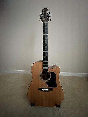 Walden Semi acoustic guitar d350 ce