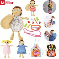 Kids 3D Puzzle Human Body Anatomy Model Leaning Organ Assemble Educational Toys