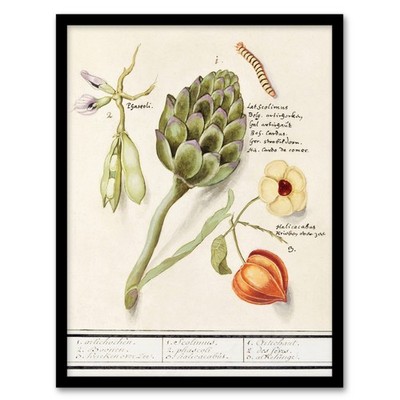 Anselmus de Boodt Artichoke Broad Beans Groundcherry Framed Wall Art Print A3/A4
