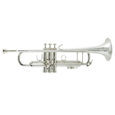 Bach Stradivarius 180ML37SP BB Trumpet for sale online | eBay Bach Stradivarius 180ML37SP BB Trumpet for sale online | eBay