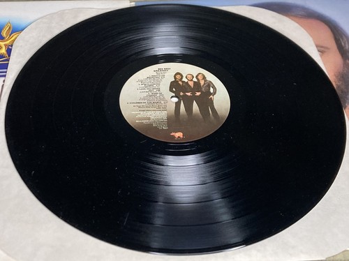 Bee Gees - Greatest - 1979 RSO Gatefold 2 LP - Edizione Club RARO - Vinile quasi nuovo - Foto 7 di 10