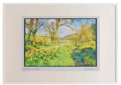 Schottland 231067 Frühling Narzissen Bordüren Peebles A3 Bilderrahmen Aquarell p