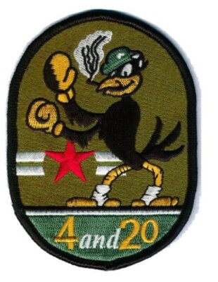 VA-45 Blackbird Squadron Patch   Plastic Backing, 4''
