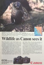 Canon EOS 620 650 35mm Autofocus SLR Camera Guadalupe Seal Vintage Print Ad 1988