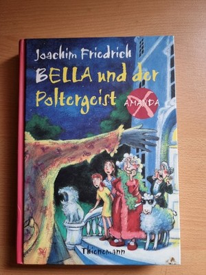 Amanda X - Bella und der Poltergeist von Joachim Friedrich Taschenbuch 
