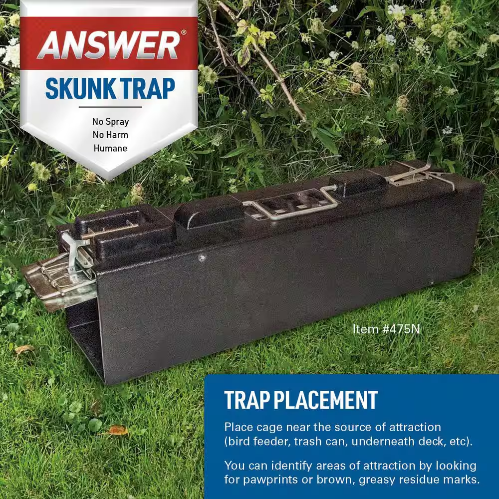 Spring Loaded Catch and Release Humane Skunk Trap | eBay