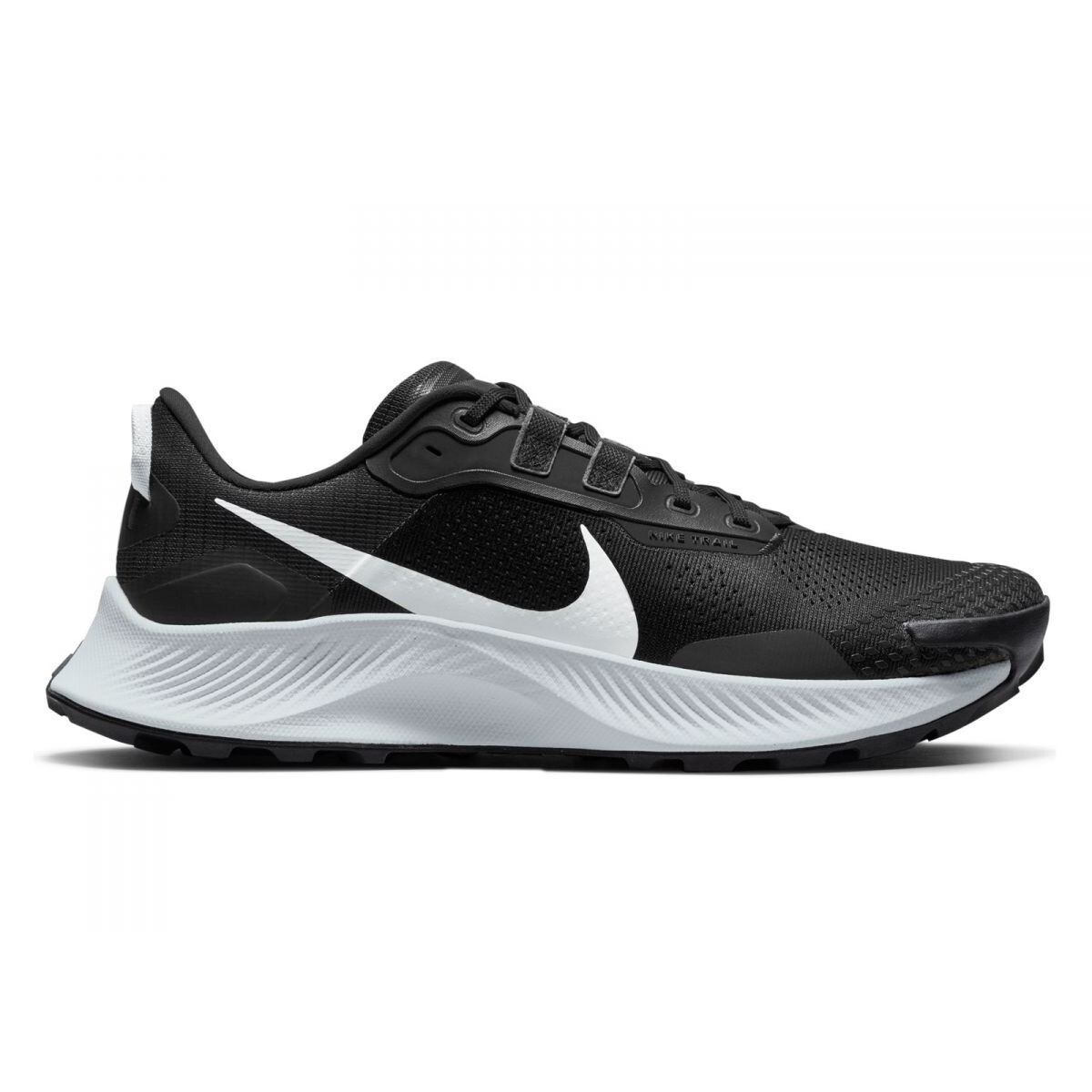 nike pegasus 10.5