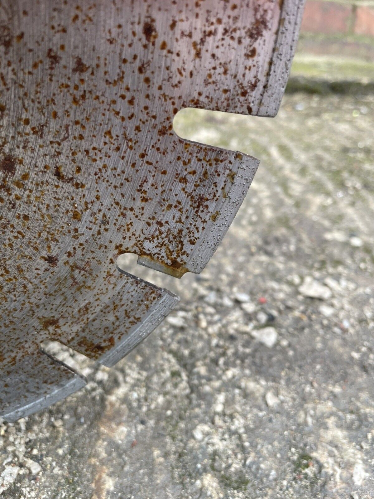 Picture 4 of 4