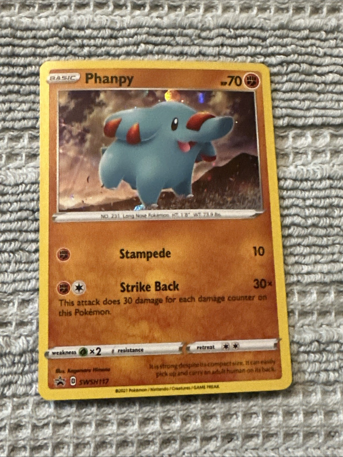 Pokemon Chilling Reign SWSH117 Phanpy Black Star Holo Promo (SWIRL)