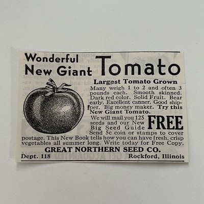 Great Northern Seed Co Wonderful New Giant Tomato Rockford IL 1934 Ad SAH7-S11
