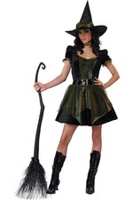 Costume Medieval Women Emerald City Witch Halloween Outfit 5025 155