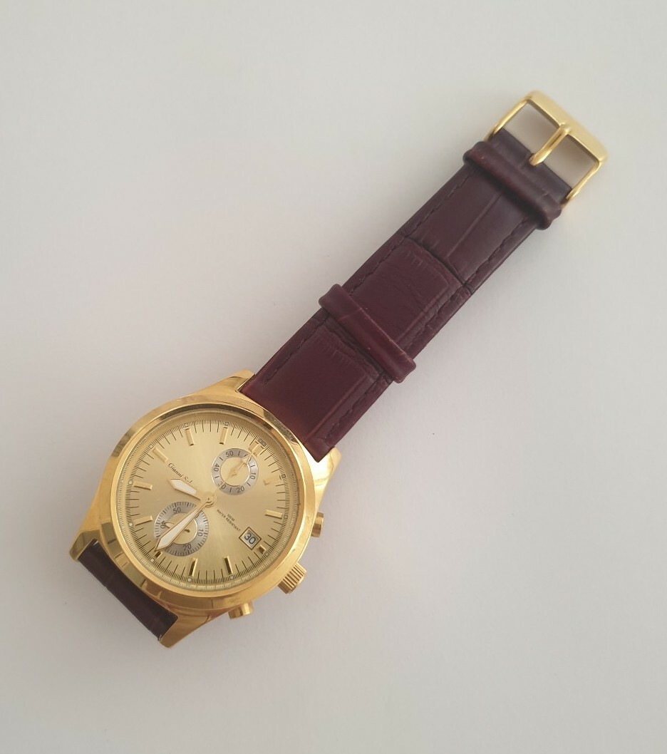 gianni sabatini watch 100m