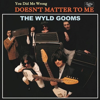 The Wyld Gooms You Did Me (Vinyl)