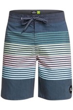 Quiksilver Men's Standard Vista Beachshort 19 Boardshort Insignia Blue