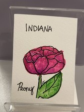 ACEO Indiana Peony Original Illustration Art Drawing Ink Watercolor Indiana USA