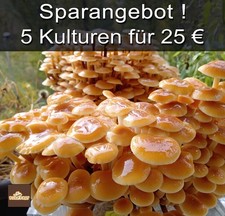 Offerta Risparmio! Flumy, coltivazione funghi, micelio liquido, coltura liquida, cultura fungina