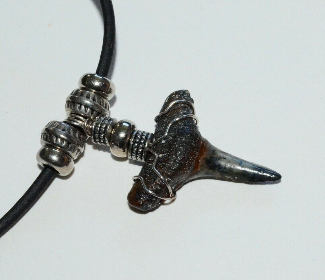 Picture 2 of 12