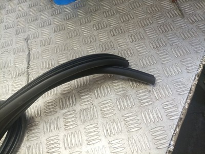 BMW 3 Series E90 Rear Right Door Rubber Seal Weather Strip 7247259 