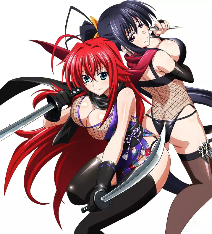 Highschool DxD Girls Weatherproof Anime Sticker 6 Car Decal