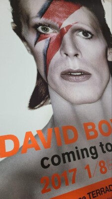David Bowie / Exhibition 2017 Japan Original Official Poster B2