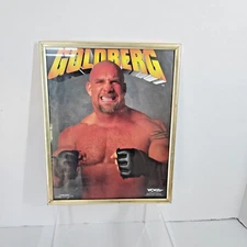 Goldberg WCW 1998 Scorpio Posters 8 x 10 in 90s Frame #284A Wrestling UGA