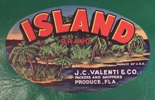 ISLAND BRAND old Florida TOMATO CRATE Label PRODUCE FL (Tampa) Original 8 X 5