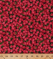 Cotton Raspberries Raspberry Fruits Food Cooking Cotton Fabric Print BTY D574.58