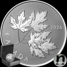 Gleaming Maple Leaf - 10$ Kanada 2026 - 1/2 O...
