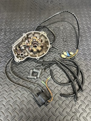 95? 96? TIGERSHARK MONTEGO 640 MAGNETO STATOR & COIL