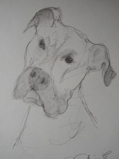Original pencil light tonal dog portrait drawing face sketch on ivory paper