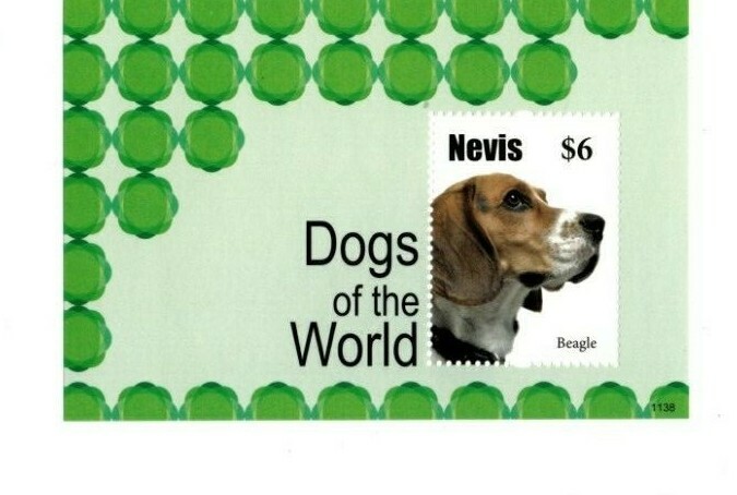 Nevis 2011 Dogs of the World, Beagle, Pet, Animal Souvenir Sheet MNH