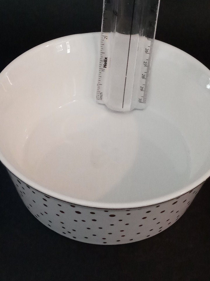 2 Fido’s Diner Dog Pet Ceramic Bowl White & Gold Polka Dots by