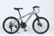 Image of 20 Inch Mountain Bike 7 Speed Gears, Adjustable Seat Kids' Bike Grey Disc Brake