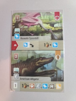 Forest Shuffle - Roseate Spoonbill/American Alligator - Dice Tower 2025 - Promo
