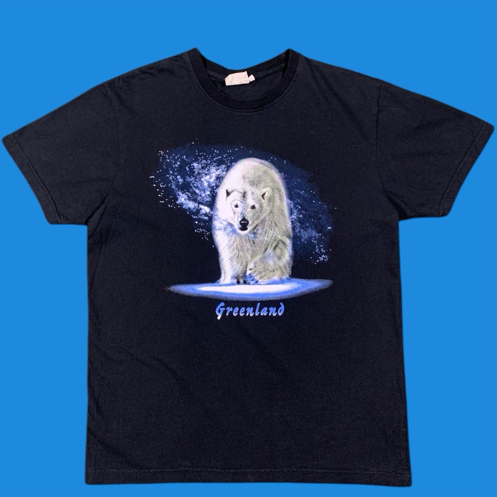 Vintage 90s Greenland Polar Bear T Shirt Size L (Free Shipping)