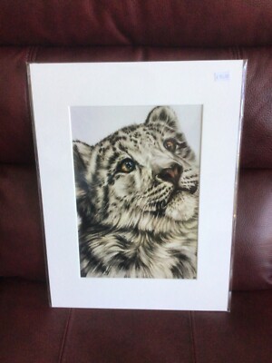 Giclée Schneeleopard A4 montierter Druck aus Original Bleistiftzeichnung